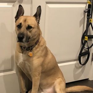 Meet your Posher, Larry